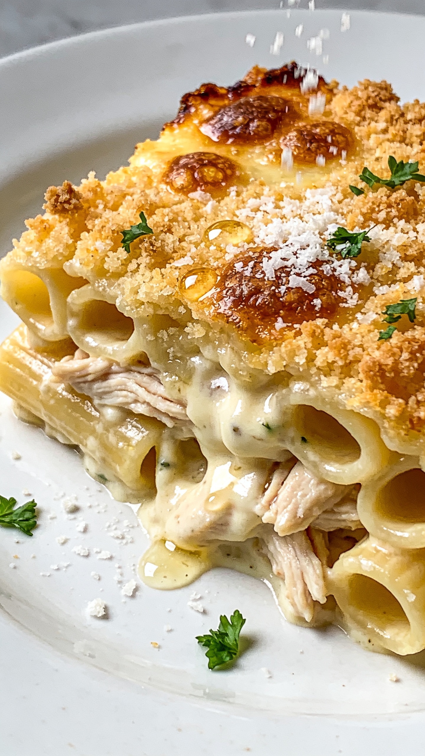 Extreme close-up beauty angle from the side of the same casserole slice plated on a simple white plate: pasta tubes packed tight and glossy with creamy Alfredo, succulent shreds of chicken throughout, a thick, crackly golden Parmesan-panko crust on top with micro-bubbles of browned cheese and caramelized edges. Freshly grated Parmesan is dusted over the surface with a few flakes still mid-fall, and tiny beads of sauce glisten in the light. Flecks of parsley provide vibrant green pops. Bright natural light, shallow depth of field, minimal props, the food dominating the frame with rich textures and premium, craveable sheen.